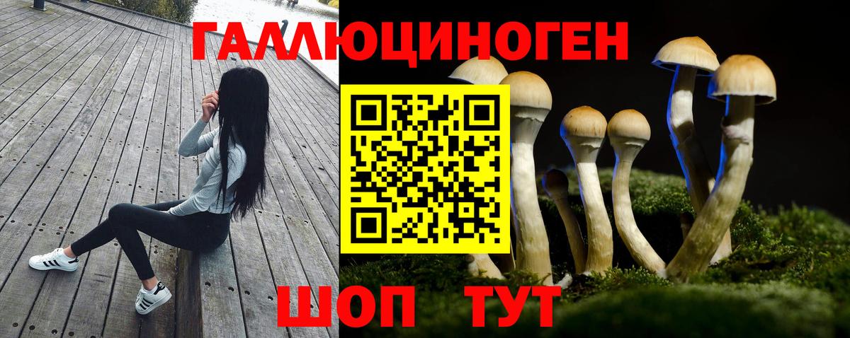 Галлюциногенные грибы прущие грибы  Вход с VPN  Верхняя Пышма 
