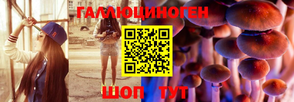 Галлюциногенные грибы мицелий Верхняя Пышма